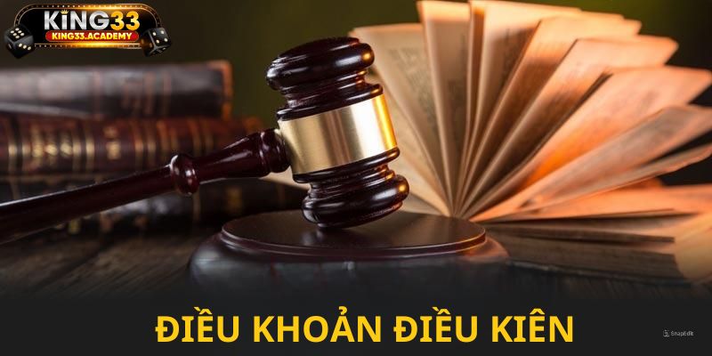 Tầm quan trọng của điều khoản tại sân chơi uy tín King33